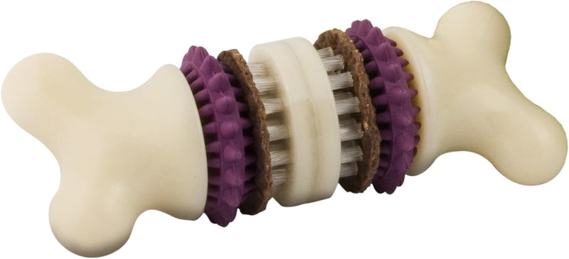 PetSafe Busy Buddy Bristle Bone Dog Treat Holding Chew Toy, Medium