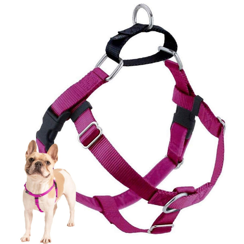2 Hounds Design Freedom No Pull Dog Harness, Adjustable Harness, Easy Walking & Comfortable Control, Fits Small, Medium & Large Dogs, Solid Colors, Made in USA, 1