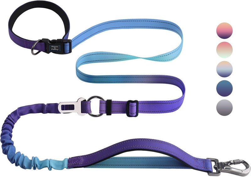 Roses&Poetry Hands Free Dog Leash for Medium Large Dogs Heavy Duty, No Pull Bungee Dog Running Waist Leash for Walking T