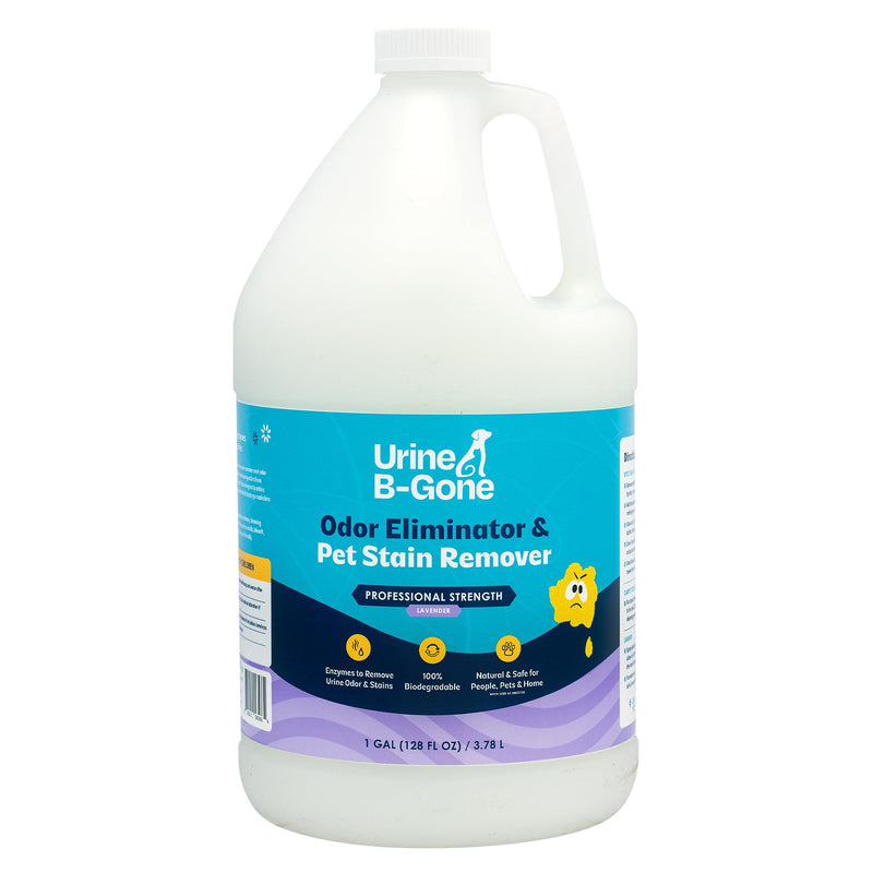 Urine B-Gone, Professional Enzyme Odor Eliminator & Pet Stain Remover, Human, Cat & Dog Urine Cleaner, Effective on Laundry, Carpets & More, Lavender Scent, 1 Gallon