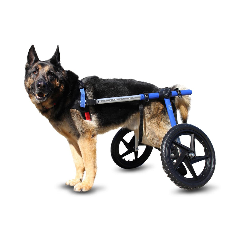 Dog Wheelchair - for Large Dogs 70-180 Pounds - Veterinarian Approved - Dog Wheelchair for Back Legs