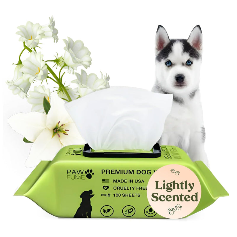 Pawfume Dog Wipes 100 Count, Pet Wipes – Hypoallergenic & Gentle Dog Wipes for Eyes, Face, Butt, and Paws – Cleaning & Deodorizing, Grooming Tear Stain Wipes for Puppy, Adult Dogs & Cats