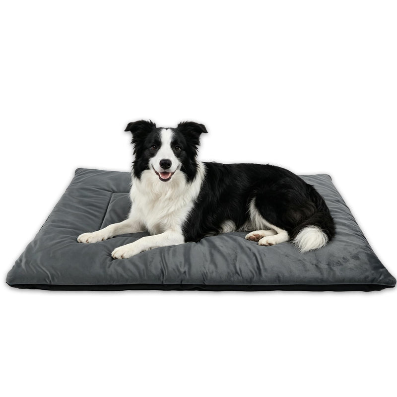 EpicRove RovePad Cozy – Dog Crate Mat, 6cm Thick Crate Mattress Pad, Non-Slip Washable Velvet Dog Bed for Small & Medium Dogs, Silent Indoor Kennel Pad (Grey,M)