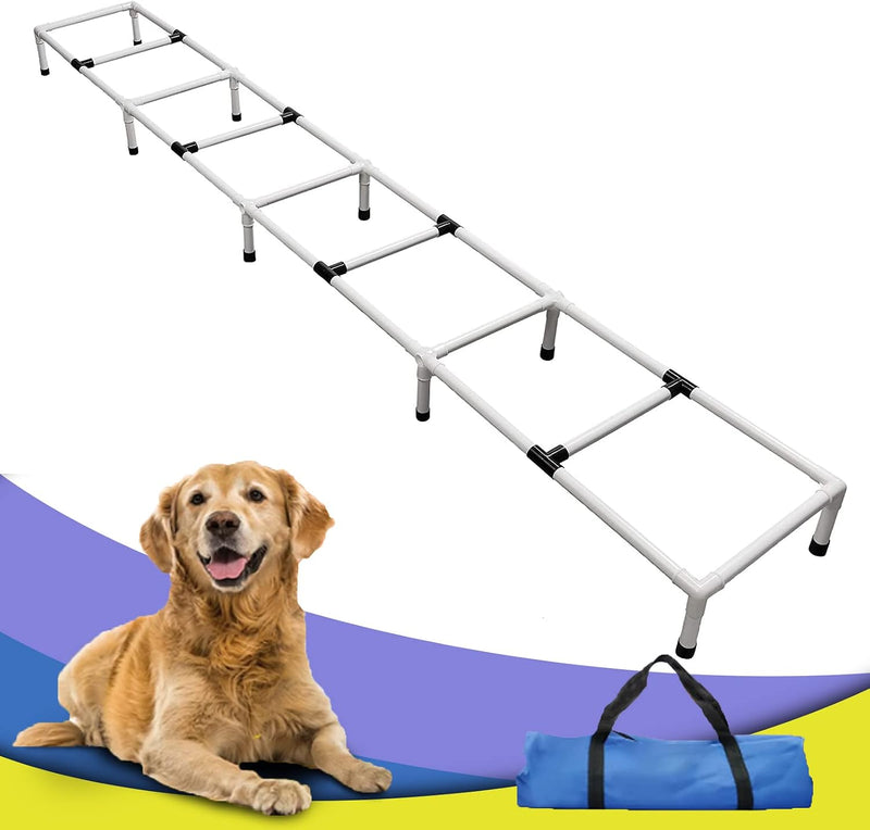 Dogs Agility Training Ladder, Pets Agility Training Equipment, Pet Outdoor Game