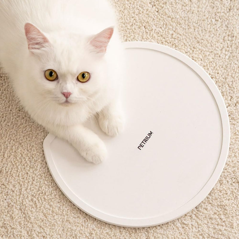 Stone Dry Mat for Pets, Absorbent Pet Feeding Mat for Food, Water Bowls Quick Drying Mat for Pet Cat Water Fountains Natural Diatomaceous Earth Non-Slip Dog Cat Accessories for Messy Drinkers