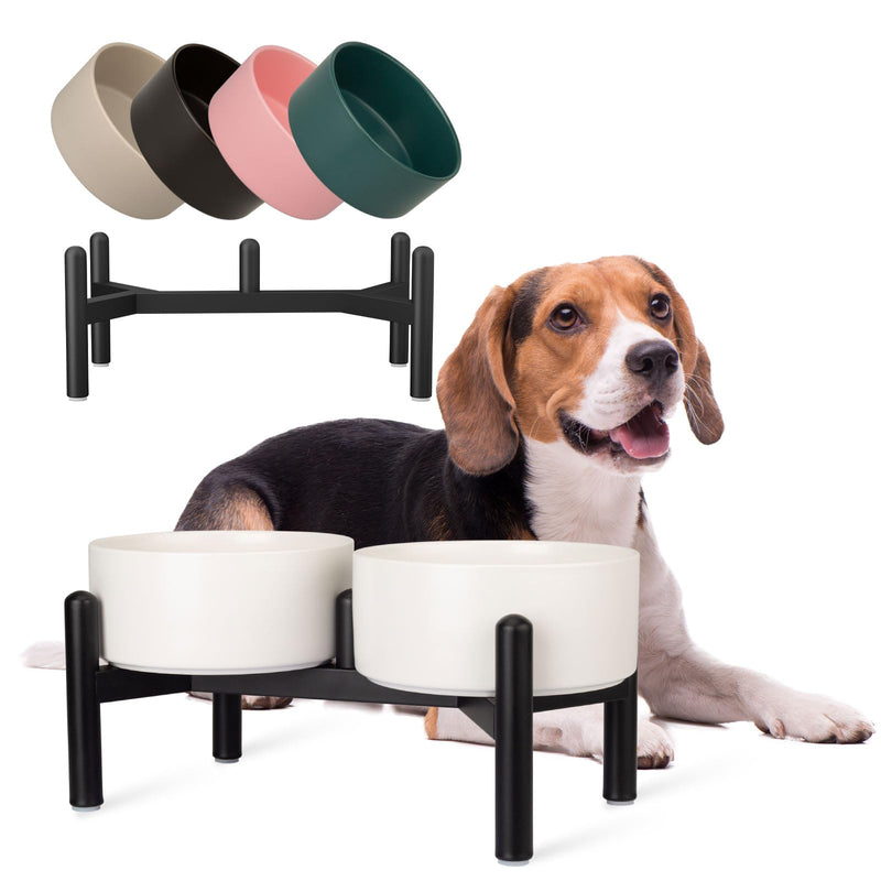Raised Ceramic Dog Bowl Set - Elevated Double Dishes with Stainless Steel Stand - Food and Water Bowls for Small to Medium Dogs - Each Holds 3.5 Cups (29.57 fl oz) - White