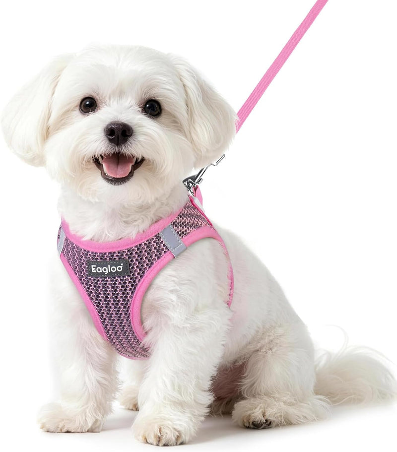 Eagloo Small Dog Harness and Leash Set, Step in Puppy Vest with Breathable Soft Mesh, Walking Reflective Pet Harness for Small Dogs, Pink, S