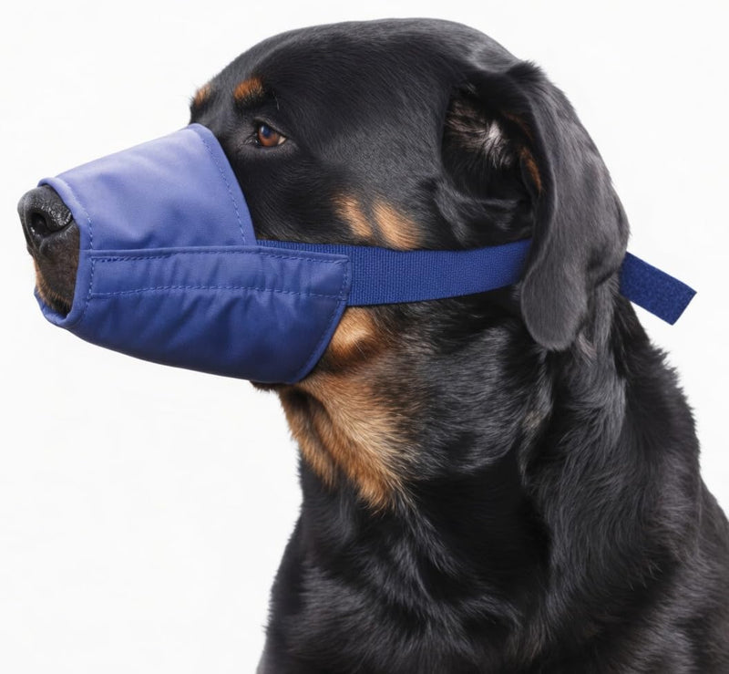 Four Flags Quick Muzzle, XXL Blue - Dog Muzzle for Large Dogs