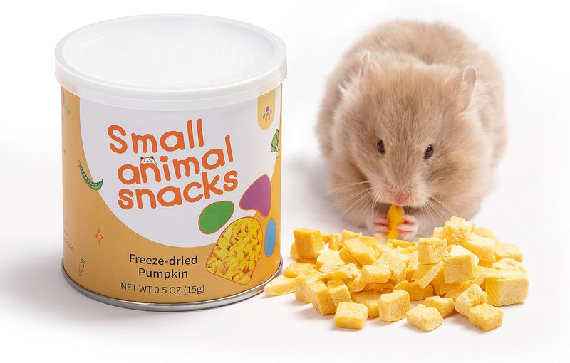 Niteangel Hamster Snack Treat Toy: Freeze-Dried Pumpkin & No Additive