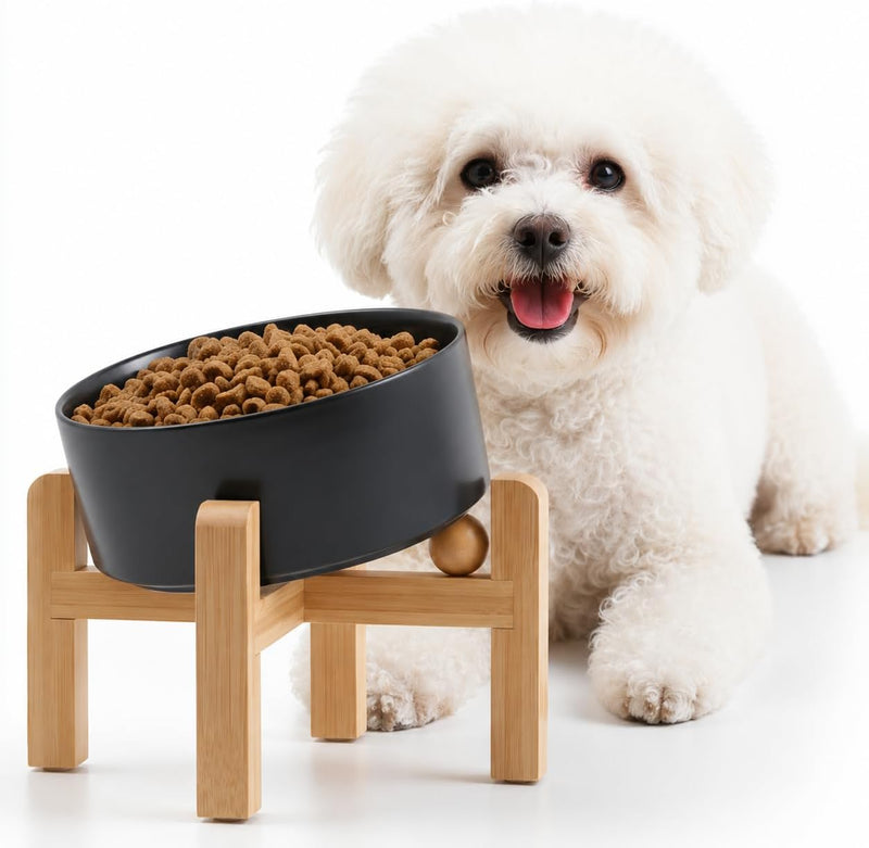 Petygooing Black Raised/Elevated 15°Slanted Ceramic Dog Bowl for Small Breeds,Tilted Anti Slip Pet Feeding Bowl,Food Wat