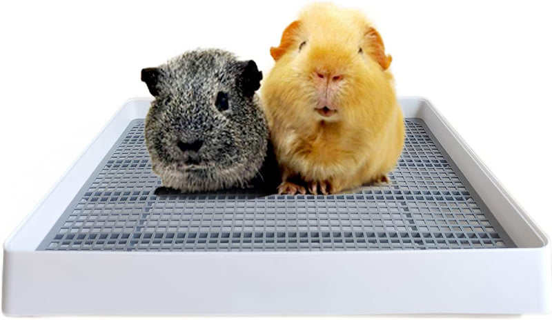 PODOO Rabbit Litter Box – Training Potty Tray for Guinea Pig & Small Pets · Spacious Grid Pan with Low Entrance, Easy-Cl