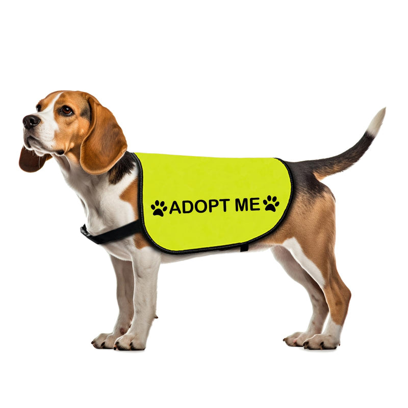 Rescue Dog Jacket Vest Adopt Me Pet Vest Foster Dog Slogan Vest (Adopt Me-Large)
