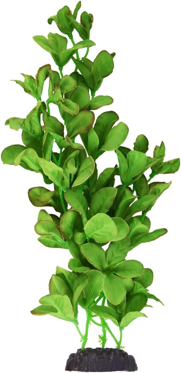 Underwater Treasures Silk Bacopa Monnieri - 12