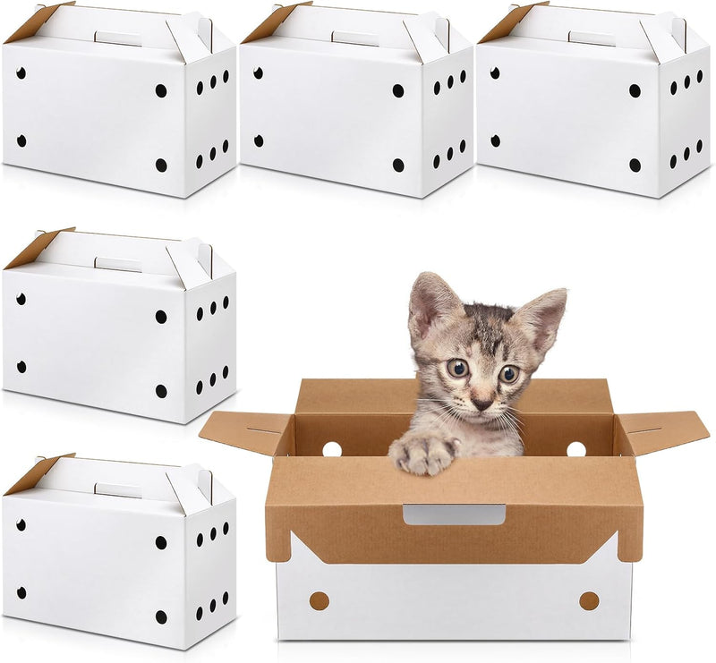 6 Pack Cardboard Pet Carrier,17.5 x 8.66 x 12.2 Inches,Small Animal
