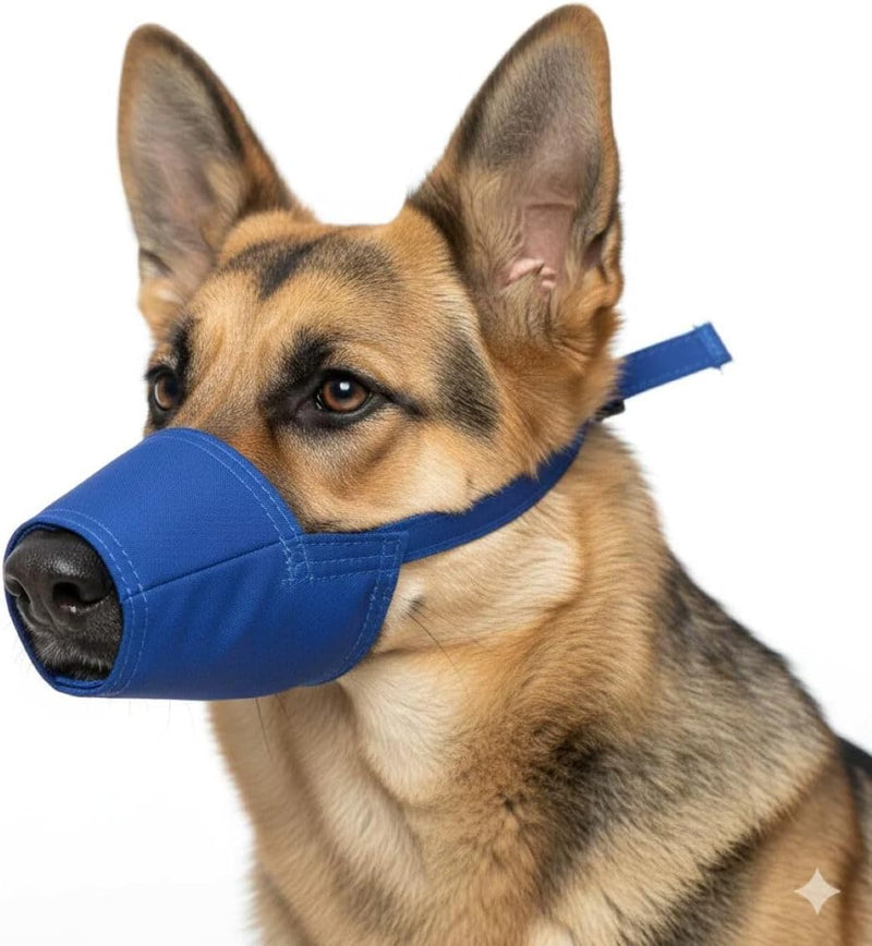 Four Flags Quick Muzzle