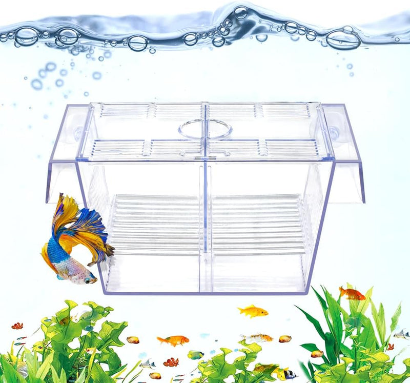 DaToo Fish Breeding Box Aquarium Holding Tank Transparent Fish Isolation Box Acclimation Hatchery Incubator Breeder for