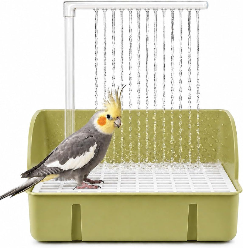 Automatic Bird Bath with Pump