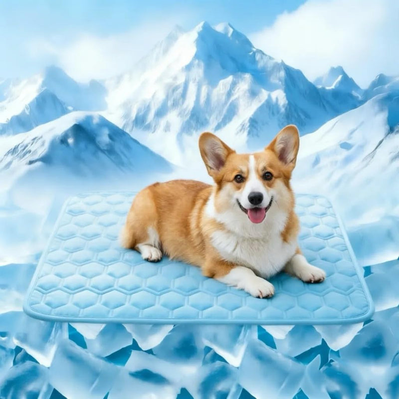 Cooling Mat for Dogs, Q-Max>0.5 Washable Dog Cooling Mat, Portable Kennel Cooling Pet Pad for Summer, Non-Slip & Non-Toxic Arc-Chills Dog Bed Mat & Crate Pad for Extra Large Dog