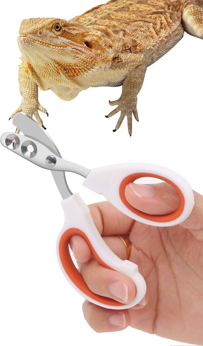 Stainless Steel Bearded Dragon Nail Clippers,Lizard Nail Clippers,Bearded Dragon Supplies,Bearded Dragon Nail Scissors f