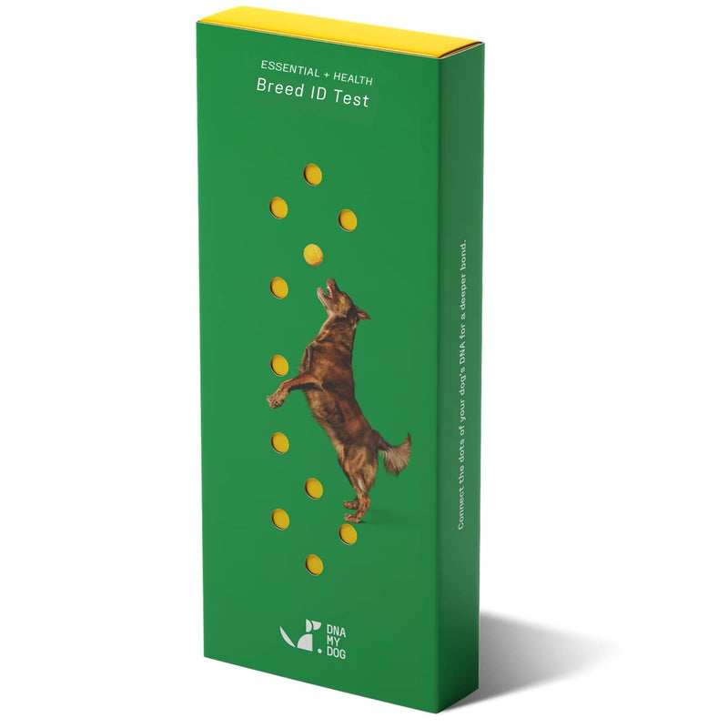 DNA MY DOG - Essential + Health Dog DNA Test Kit | 350+ Breeds Identified | 99%+ Accuracy | 105+ Health & Trait Results | Allergy Risk Score | Personality & Behavior Insights | Results in 2-3 Weeks