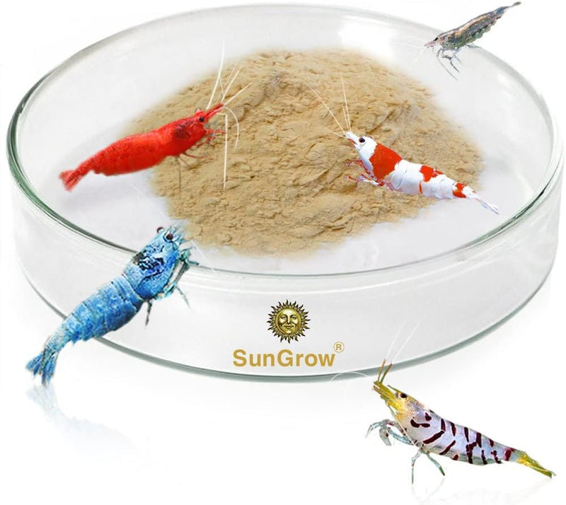 SunGrow Tough Borosilicate Glass Shrimp & Gecko Feed Dish, Wide and Deep, Transparent Basin for Shrimp Food, Dog & Cat M
