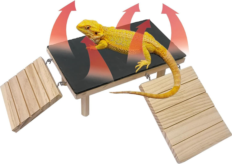 Reptile Bearded Dragon Basking Platform Rock with Climbing Ramp,L