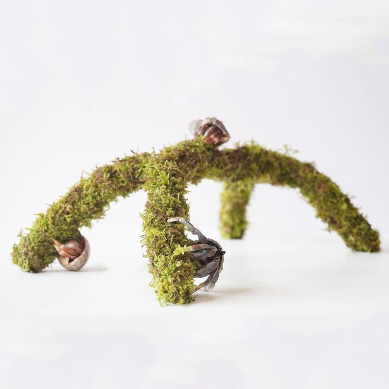 12 Inch Hermit Crab Climbing Toys, Ideal Hermit Crab Habitat Tank Accessories,Adjustable Hermit Crab Supplies