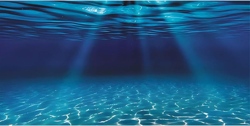 AWERT 48x24 in Undersea Aquarium Backdrop Underwater Fish Tank Background