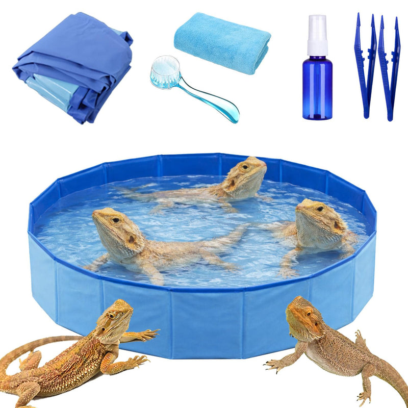 6Pcs Bearded Dragon Pool – Foldable Reptile Bathtub & Towel (Large or Medium Size), Bath Brush, Spray Bottle & Plastic Tweezers for Bearded Dragons, Bearded Dragon Bath Accessories (Medium)