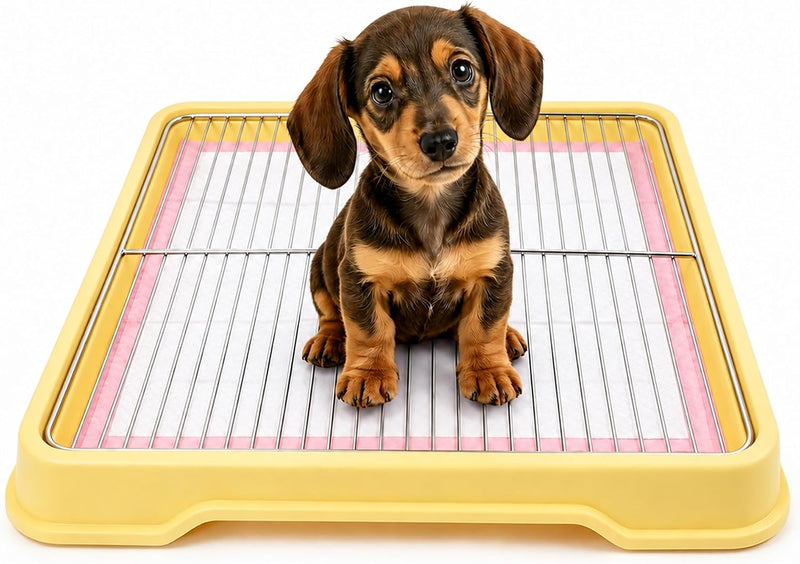 Dog Litter Box, Indoor Puppy Potty Tray with Stainless Steel Grate