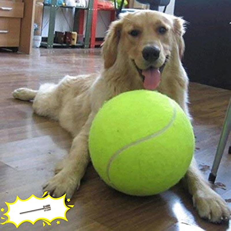 Banfeng Dog Tennis Ball, 9.5