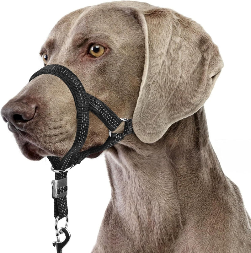 BARKLESS No Pull Head Collar for Medium Large Dogs, Sturdy Head Halter