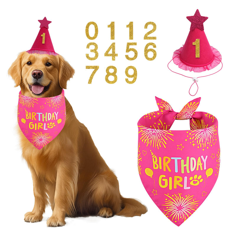 Agroon Dog Birthday Decorations Rose Pink, Dog Birthday Party Supplies with Hat Bandana Numbers for Large Medium Girl Pets Puppy
