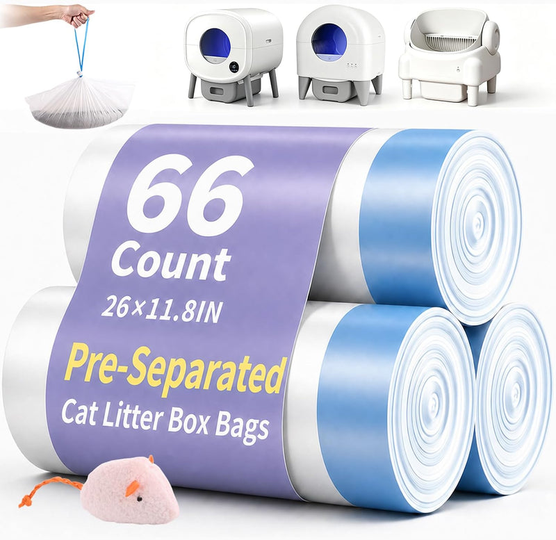 66 Count 26