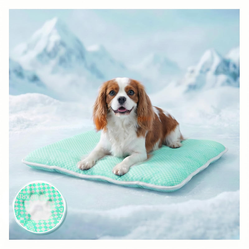 furrybaby Dog Cooling Mat Dog Bed mat, Extra-Thick Dog Crate Pad, Cat Bed, Washable Pet-Safe Magic Cooling Pad for Dogs Cats, Long Lasting Cooling for Crate Bed Indoor Outdoor Summer, 30x20, Mint
