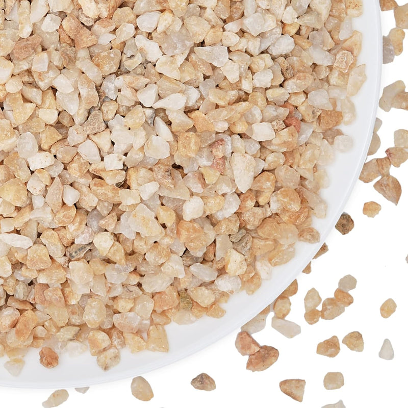 2.5 lbs Coarse Sand for Plants, 1/5 Inch Horticultural Sand for Succulents, Desert Silica Sand for Cactus, Vases, Aquari