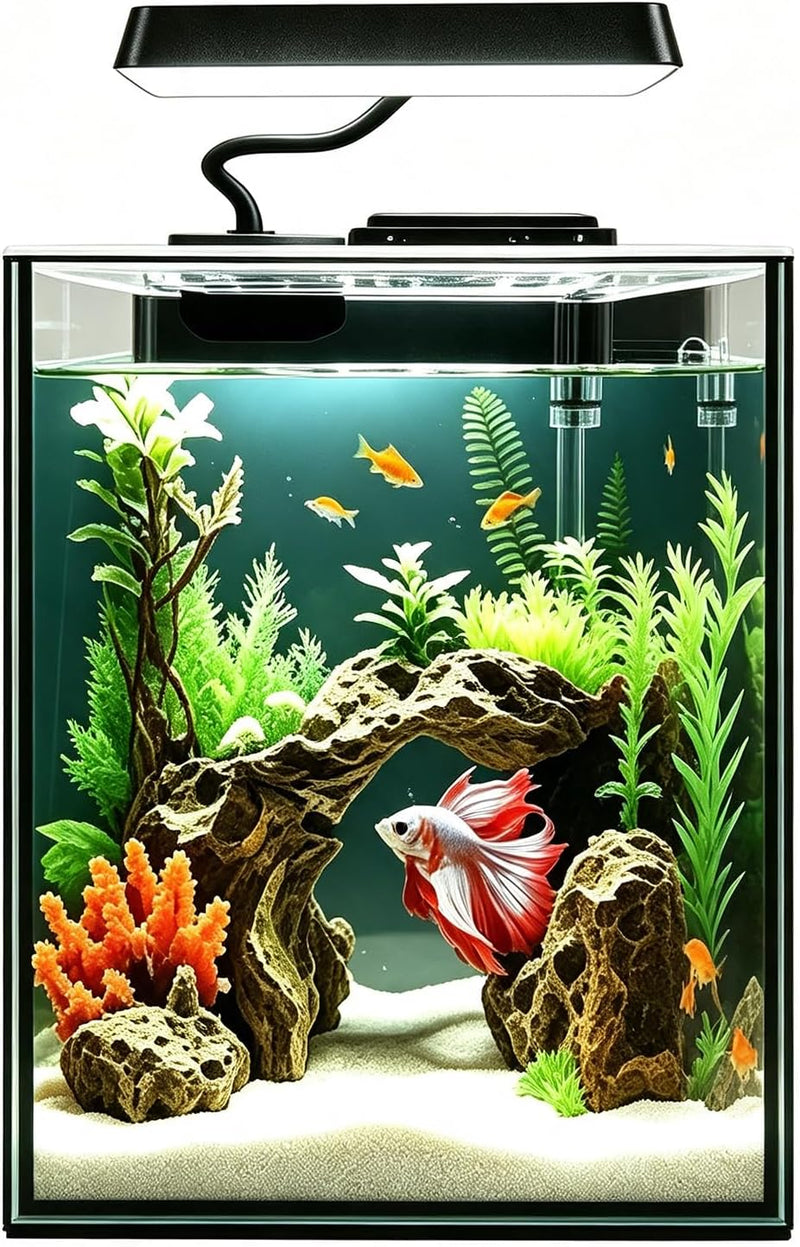Glass Betta Aquarium Starter Kits 1.5 Gallon Small Fish Tank, Betta Fish Tank with LED Light, Power Filter, Black. 4mm G
