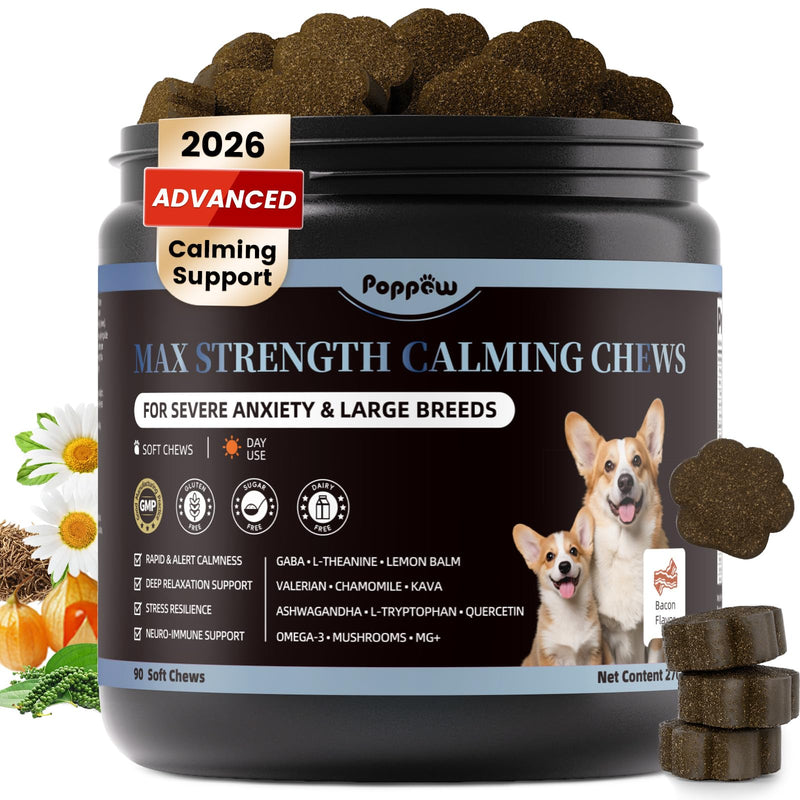 Calming Chews for Dogs - Advanced Calming Treats for Dogs Anxiety, Stress, Separation, & Thunder, Relaxation with Ashwagandha & L-Theanine, Non-Drowsy Alternative to Melatonin, Bacon Flavor, 90Ct