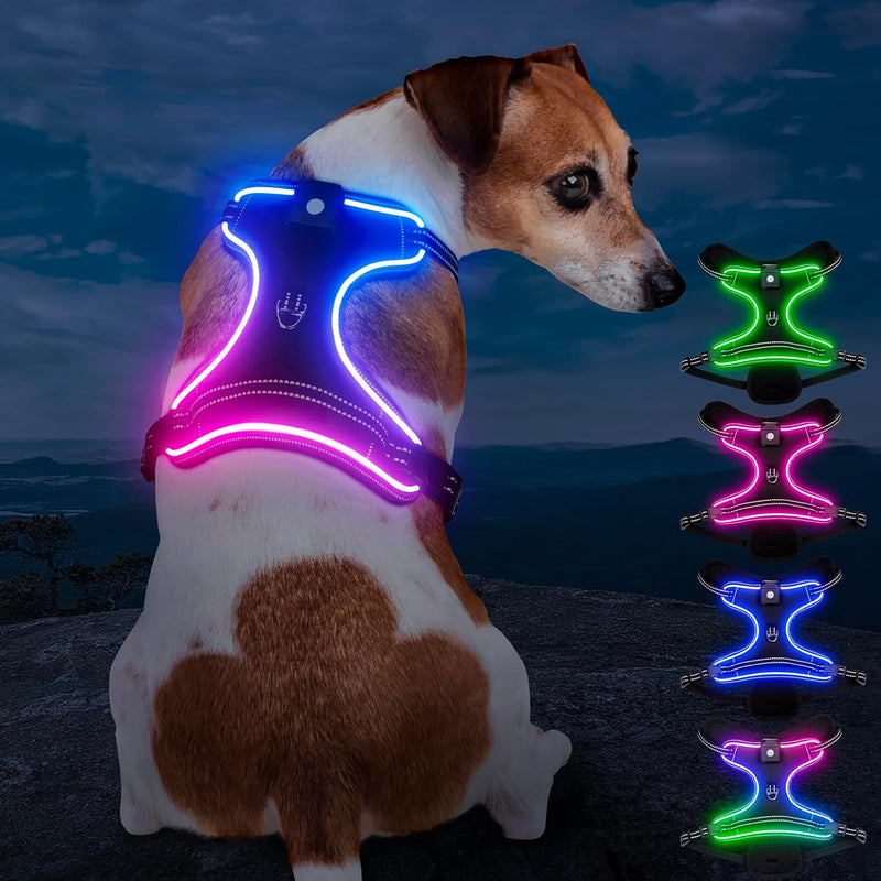 Light Up Dog Harness, LED Rechargeable Safety Dog Harness for Night Walking