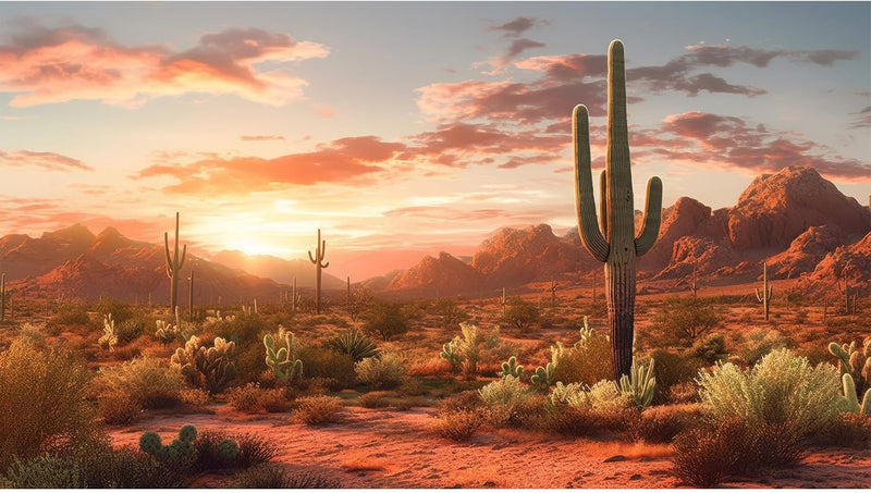 Desert Reptile Habitat Backdrop Sunset Desert Landscape Saguaro Cactus Gobi Plants Terrarium Background Sunset Sky Rugge