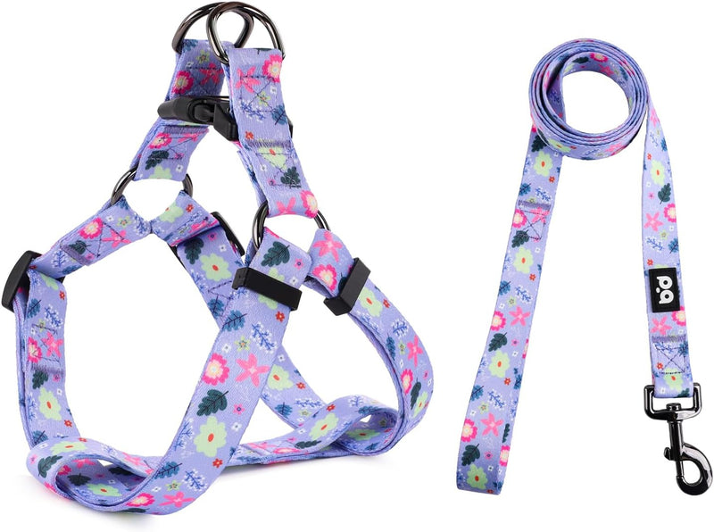 QQPETS Dog Harness Leash Set Adjustable Heavy Duty No Pull Halter Harnesses for Small Medium Large Breed Dogs Back Clip