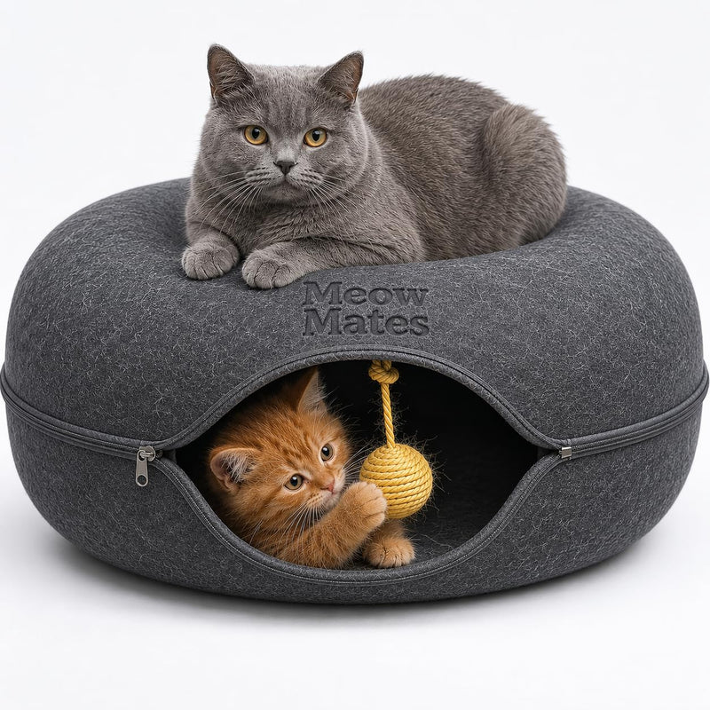 MeowMates Peekaboo Cat Cave Donut Bed for Multiple Cats Upto 45lbs, 3-in-1 Large Cat Tunnel & Donut Bed Combo w Round Tunnel Scratcher for Indoor Cats, Hanging Toy, Washable & Detachable - Dark Grey