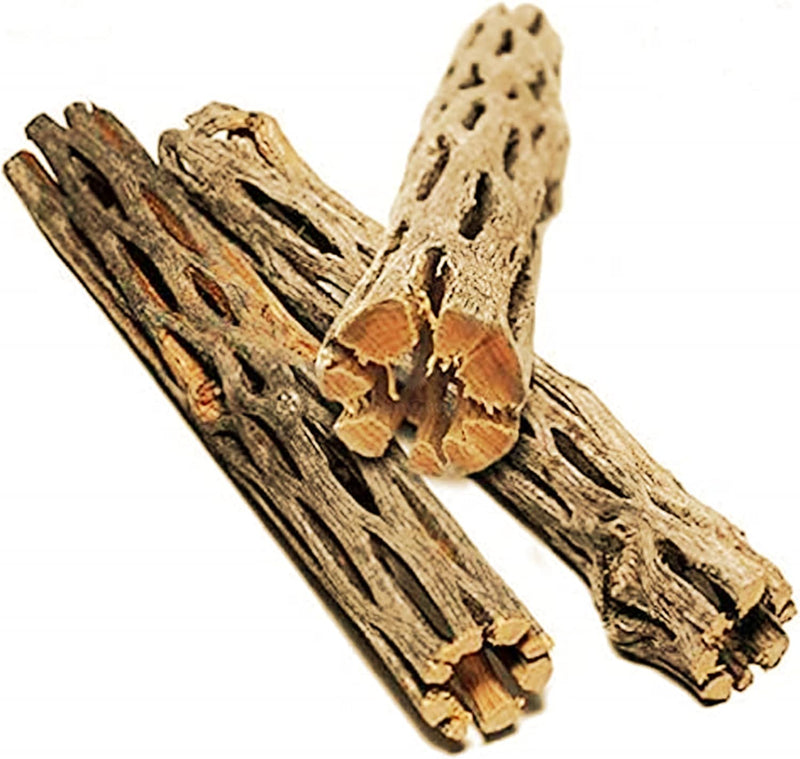 SunGrow Leopard Gecko Cholla Wood, 5 Inches Long, Create Basking Spot, Artistic Home-Decor, Lizards and Bearded Dragons,