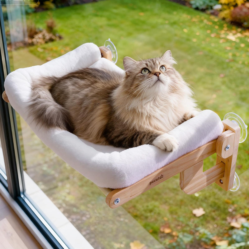 Pecute Foldable Cat Window Perch, Cloud-Soft Cat Bed with Solid Wood Frame, Strong Suction Cup, Washable Cushion, Stable Large Cats Hammock with Sided Bolster, Cats Perch Indoor for Sunbathing, 26