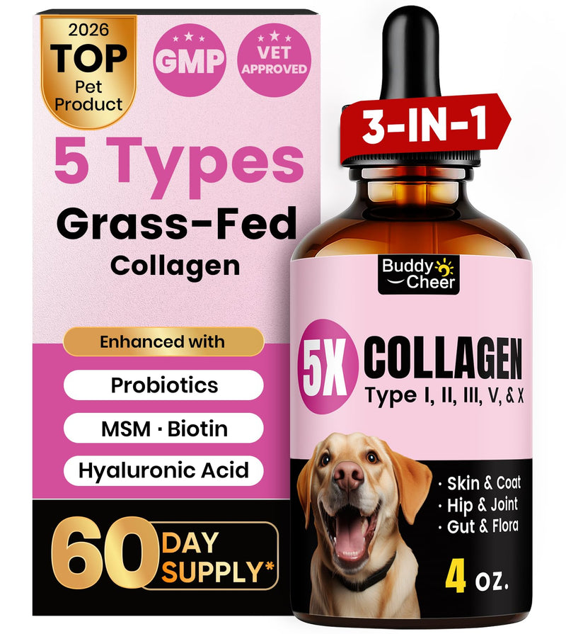 Premium Collagen for Dogs & Cats – 5 Types of Grass-Fed Collagen (I, II, III, V & X), Fast Allergy & Itch Relief Dog Colágeno with MSM, Biotin & Hyaluronic Acid – Supports Healthy Skin & Joints –120ml