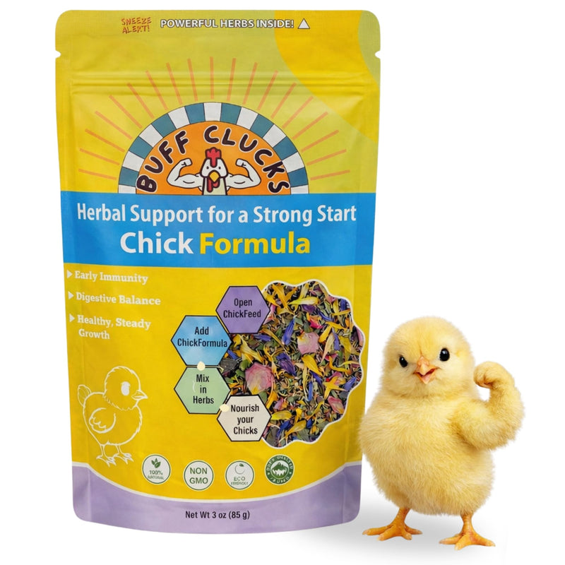 Buff Clucks Chick Formula Herbal Supplement for Baby Chicks – All-Natural Botanical Blend for Daily Wellness, Feather Quality – Plant-Based Herbs for Coop Snacks - Calendula, Oregano, Lemon Balm, USA