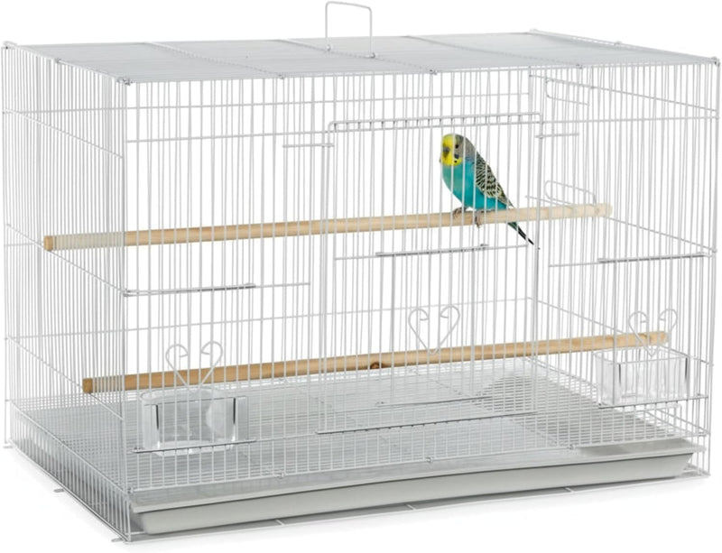 A&E Cage Co 503 Flight Bird Cage for Finches & Parakeets, 24