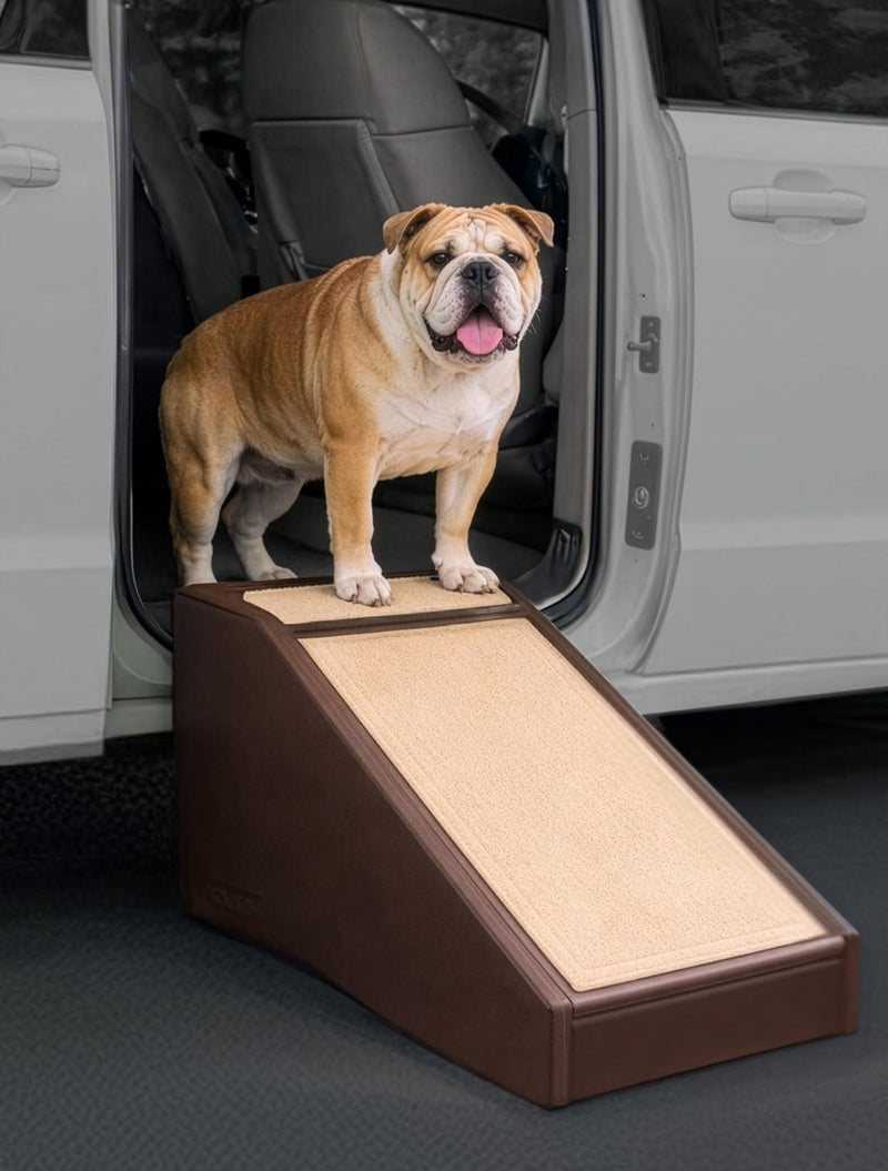 Pet Gear Stramp Stair and Ramp Combination for Dogs/Cats, Easy Step, Lightweight/Portable, Sturdy, Easy Assembly (No Tools Required) 1 Model, Coffee Bean