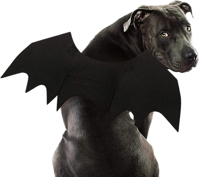 Rypet Dog Bat Wings Costume L, Dog Bat Costume for Halloween Cosplay Party