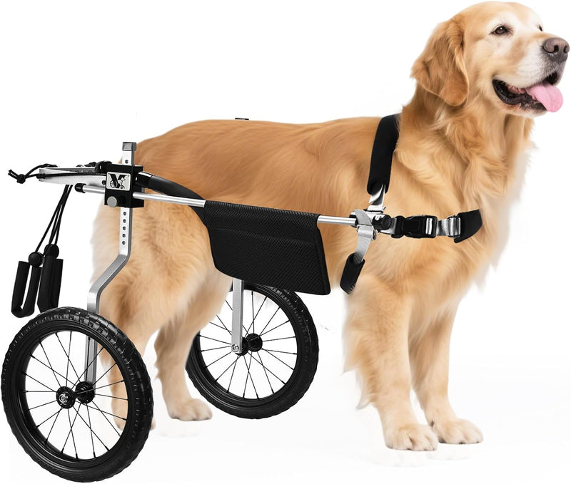 All-Terrain Dog Wheelchair for Back Legs - Lightweight & Adjustable for Medium to Large Dogs - Easy to Assemble Mobility